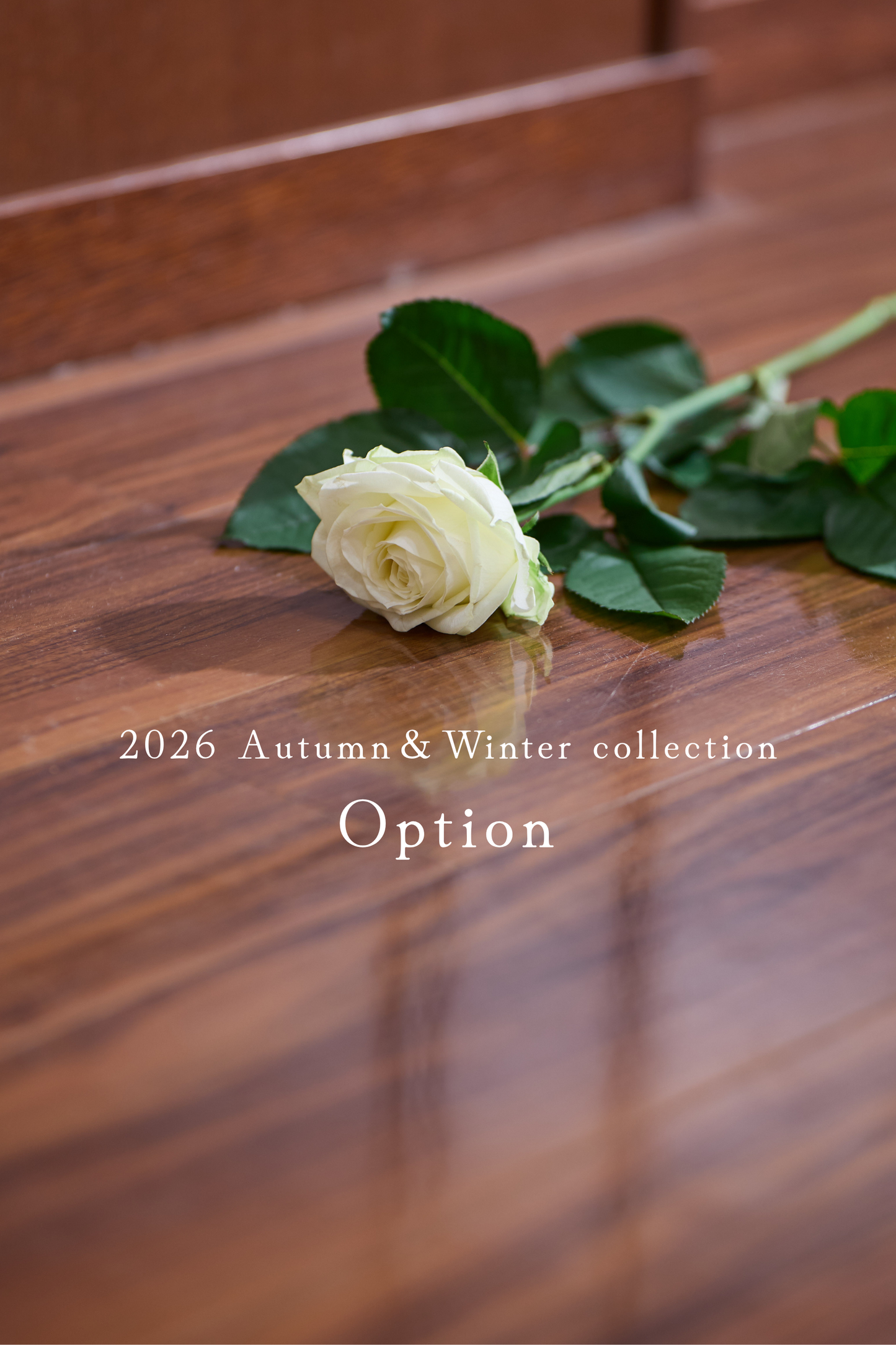 【Option】2026 Autumn＆Winter collection